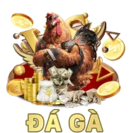 Hoa hồng hấp dẫn